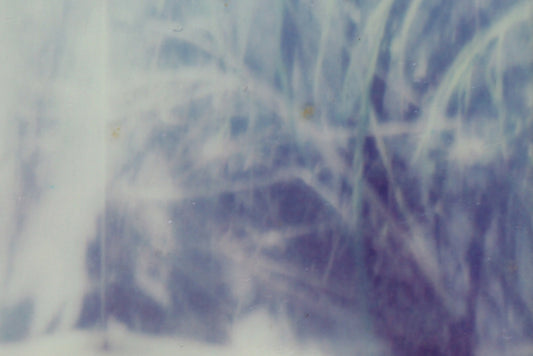 Third layer -Life,Healing and Space-