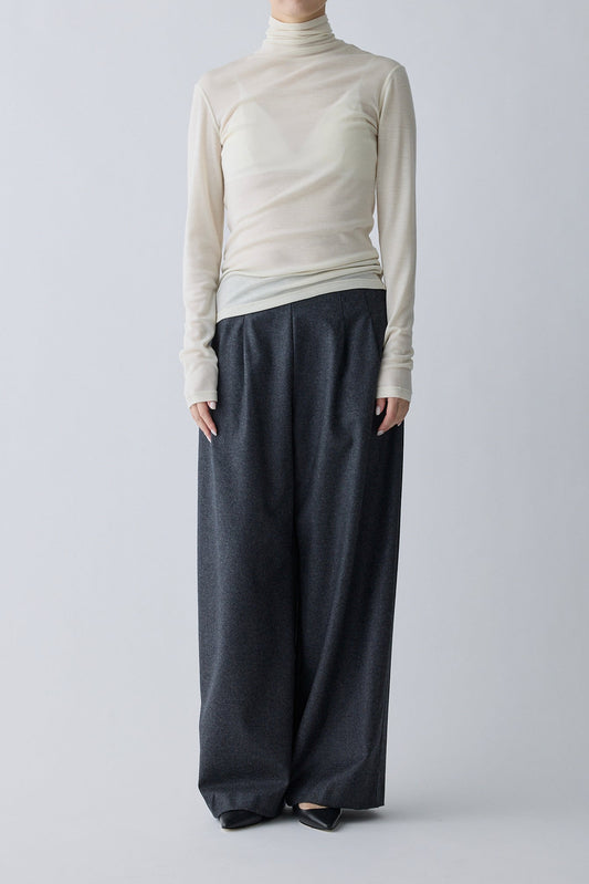 Alula tuck wide Pants _ gray