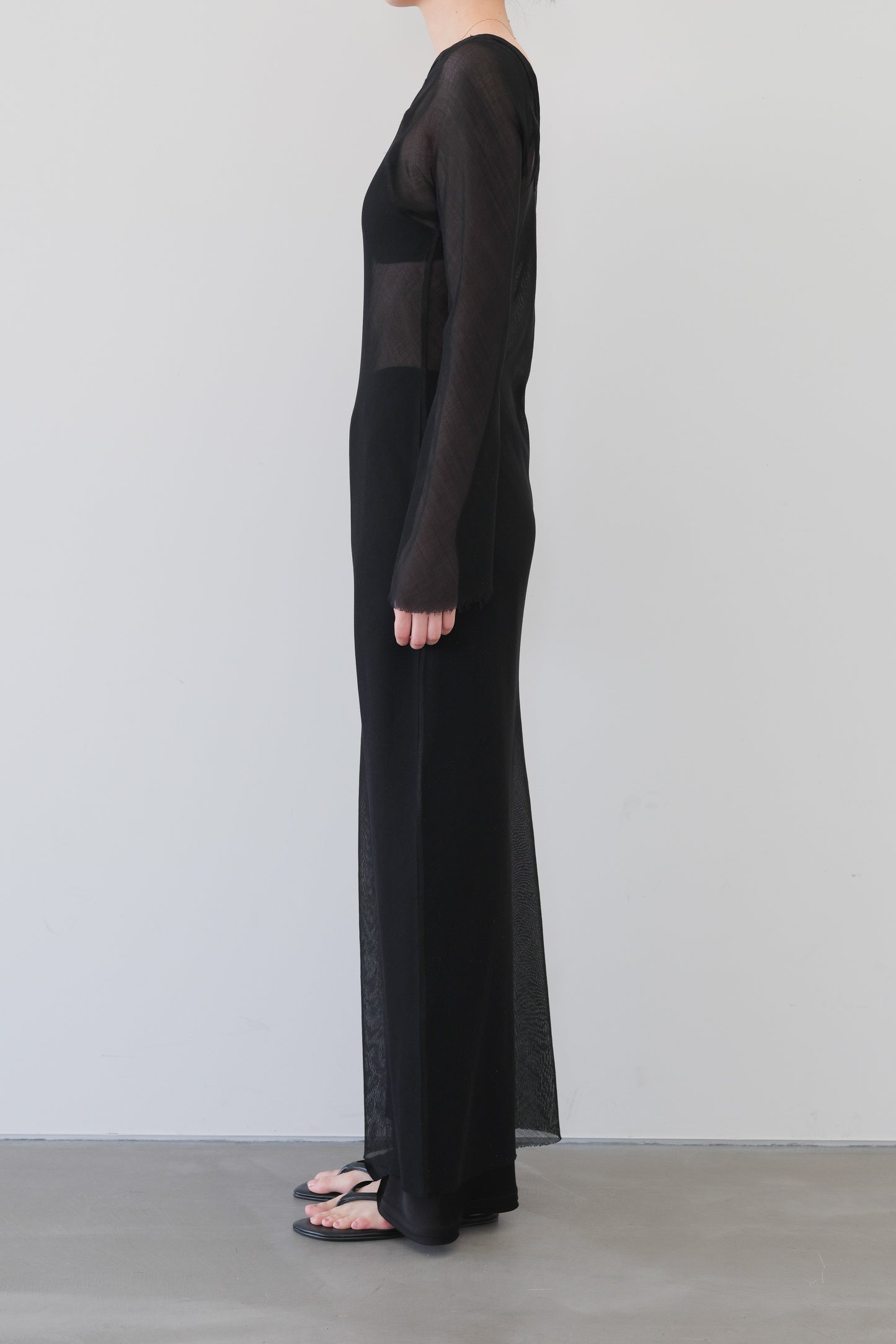 Dubhe Sheer Dress_Black