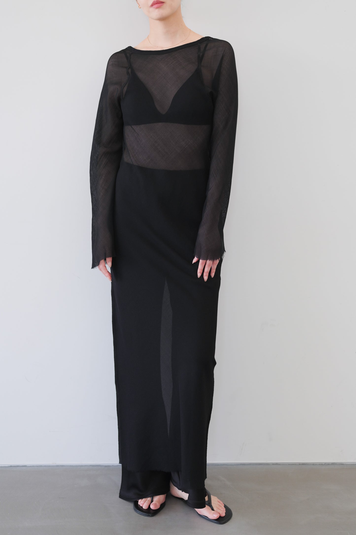 Dubhe Sheer Dress_Black