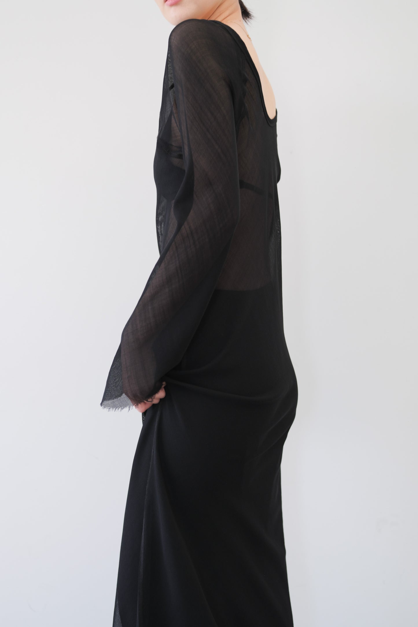 Dubhe Sheer Dress_Black