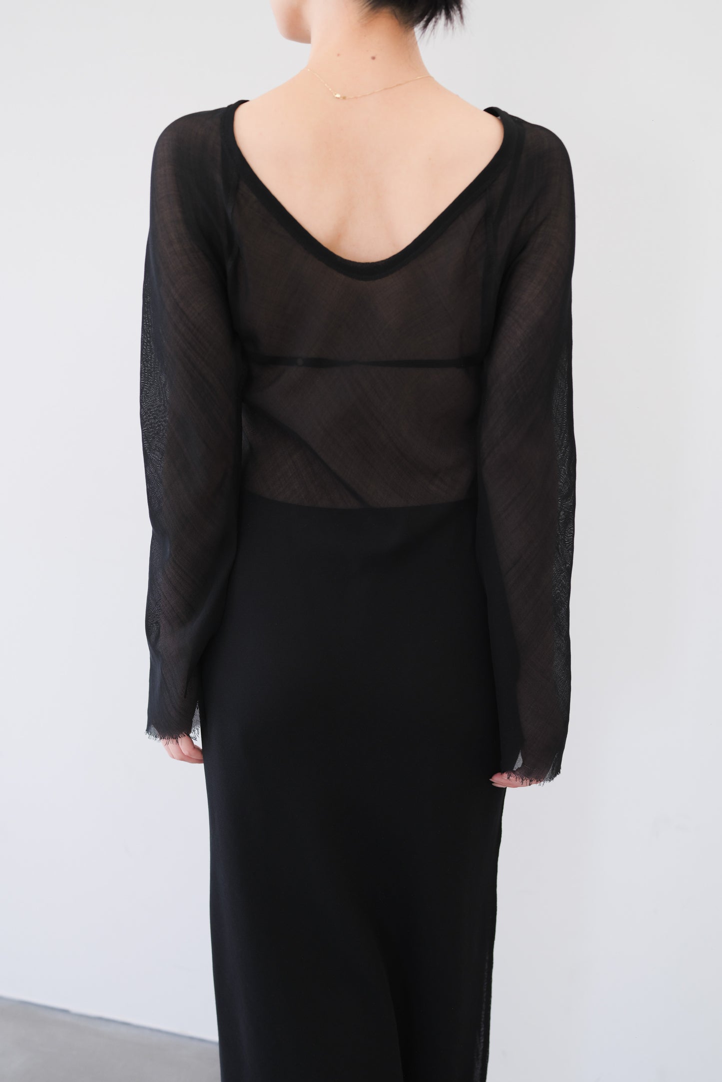 Dubhe Sheer Dress_Black