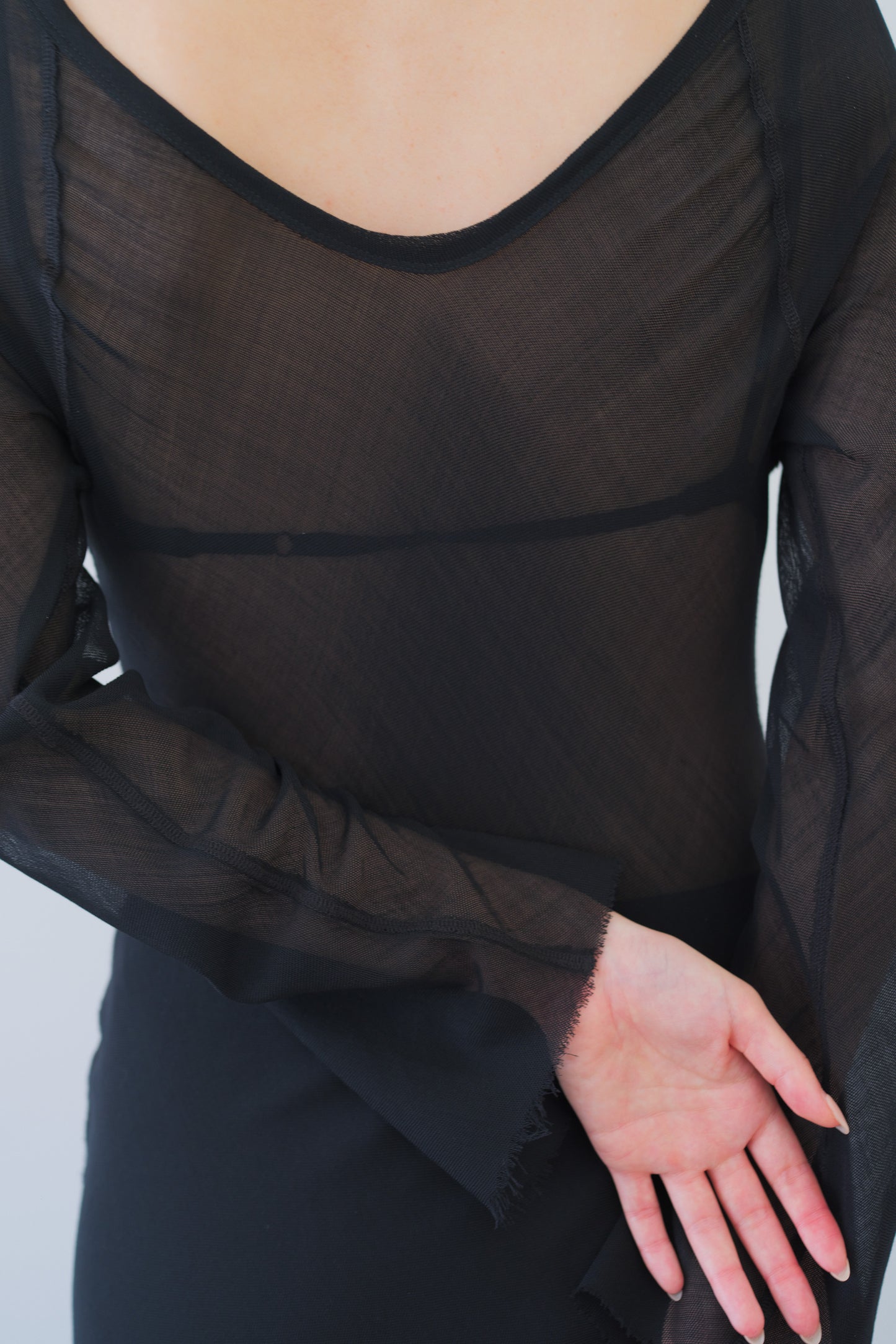 Dubhe Sheer Dress_Black
